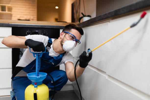 Best Flea Control Services  in Milford, PA