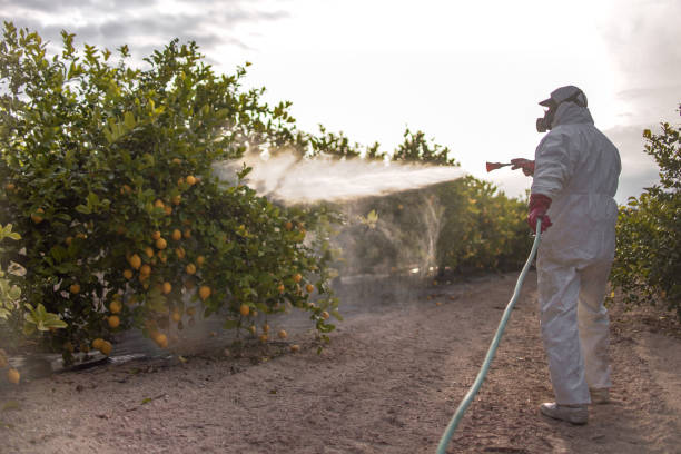 Professional Pest Control in Milford, PA