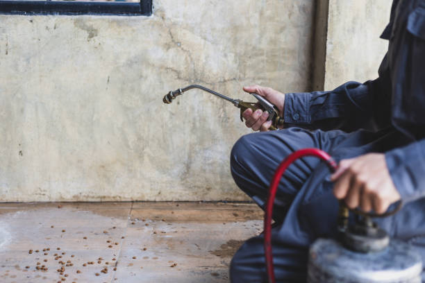 Best Termite Control Services  in Milford, PA